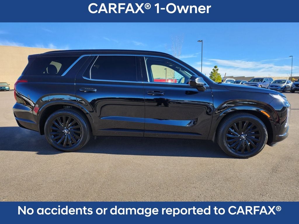 2025 Hyundai PALISADE Calligraphy Night Edition