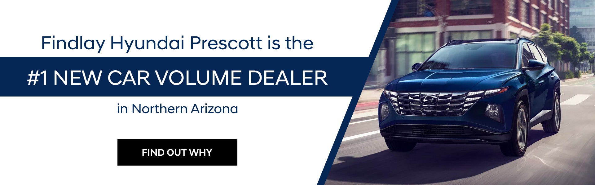 #1 car Volume Dealer