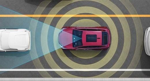 Findlay Hyundai Prescott